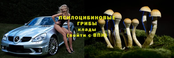 ПСИЛОЦИБИНОВЫЕ ГРИБЫ Беломорск