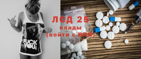 ПСИЛОЦИБИНОВЫЕ ГРИБЫ Беломорск