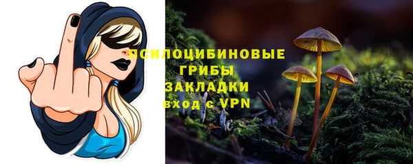 ПСИЛОЦИБИНОВЫЕ ГРИБЫ Беломорск