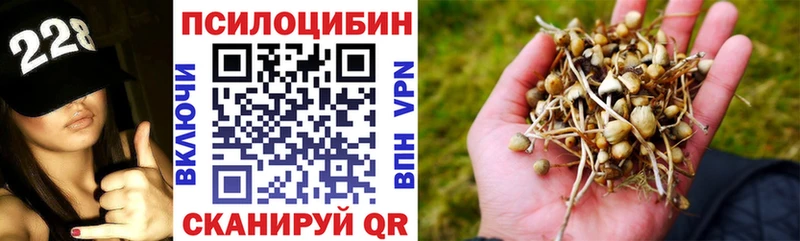 blacksprut tor  Мглин  Псилоцибиновые грибы ЛСД  где купить наркоту 